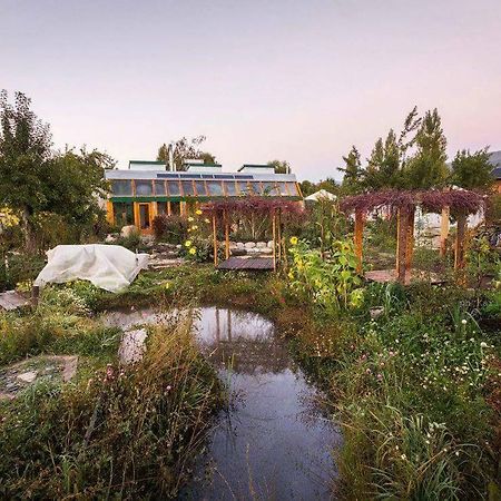 Earthship Patagonia Eco Accommodations Эль-Больсон Экстерьер фото