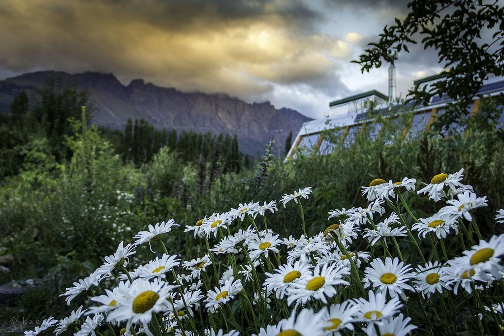 Earthship Patagonia Eco Accommodations Эль-Больсон Экстерьер фото